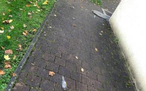 vandalizem, okt 2020, steklo (2)